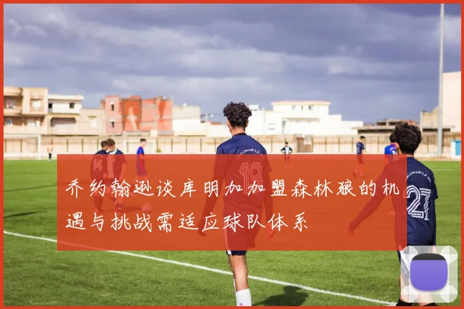 乔约翰逊谈库明加加盟森林狼的机遇与挑战需适应球队体系